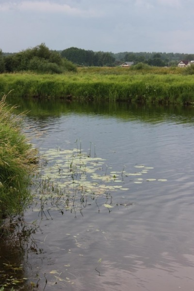 Gospodărie Gospodărie „Mikhailovskoye“ în regiunea Pskov