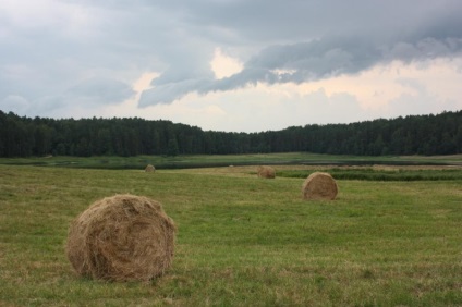 Gospodărie „Mikhailovskoye“ în regiunea Pskov (Mihailovski) Gospodărie „Mikhailovskoye“ în regiunea Pskov