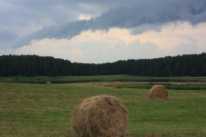 Gospodărie Gospodărie „Mikhailovskoye“ în regiunea Pskov