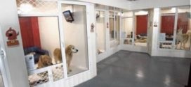 Serviciul Manipulator ca o afacere (manipulator) Servicii braț ca o afacere