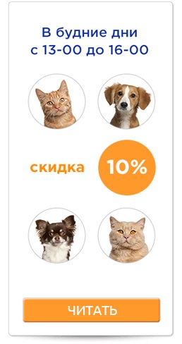 Stomatologie veterinară în „avers“ Clinica, București (Clinica veterinara Dental) Stomatologie veterinară în „avers“ Clinica, București