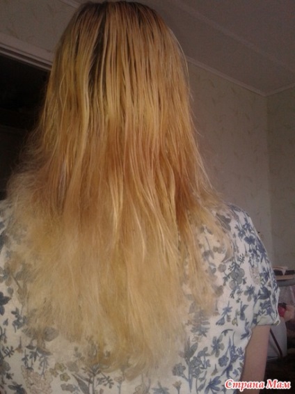 Alinierea culorii părului vopsit iluminat - salon de frumusete - acasă Mamele (păr blond de colorat in) Alinierea culorii părului vopsit iluminat - salon de frumusete - acasă Mamele