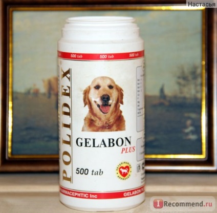 Vitamine polidex gelabon plus - „plus gelabon ajutat cu displazie a membrelor posterioare, foarte (gelabon) Vitamine polidex gelabon plus - „plus gelabon ajutat cu displazie a membrelor posterioare, foarte
