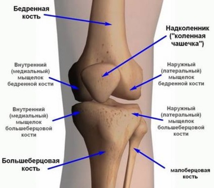 luxații patelare (un familiar și mereu prezent) simptome, tratament, consecinte (constant) luxația patelară (un familiar și mai prezent) simptome, tratament, consecințe