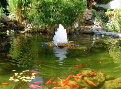 Lacuri de acumulare din țară - un iaz sau un bazin (piscina) Lacuri de acumulare din țară - un iaz sau piscina