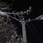 În curte există lumină în cazul în care pentru a merge (undeva) In exterior nu există nici o lumină, în cazul în care pentru a merge