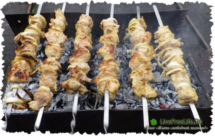 carne Harm pentru corpul uman - 10 motive! (Harm) carne Harm pentru corpul uman - 10 motive!