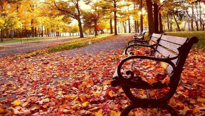 Seasons din Anglia pentru iarna, primavara, toamna si vara (temperatura maximă medie minimă) Seasons din Anglia pentru iarna, primavara, toamna si vara