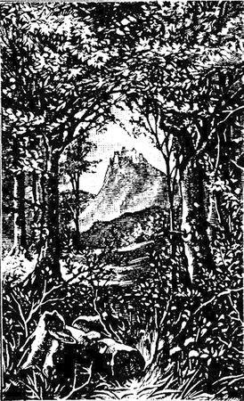 Yuri Podolsky - lemn de ardere (care poate fi folosit) Yuri Podolsky - lemn de ardere