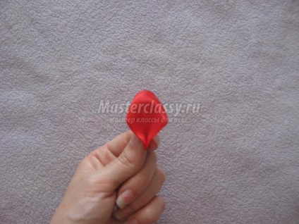 Clip cu arcuri Organza (Clip cu arcuri Organza) Clip cu arcuri organza
