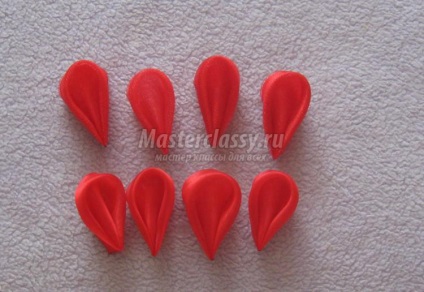 Clip cu arcuri Organza (arcuri) Clip cu arcuri organza