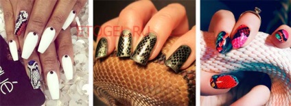 lac gel manichiura serpentină (șarpe) Snake poloneză gel manichiură