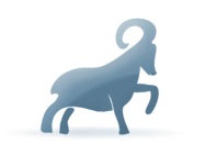 Berbec semn zodiacal - berbeci de carieră (berbeci) Aries - berbeci de carieră