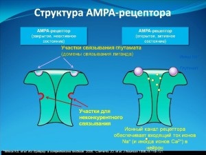 Cel mai recent tratamentul epilepsiei