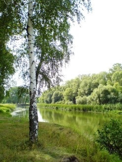 13 ani (aniversarea căsătoriei) 13 ani