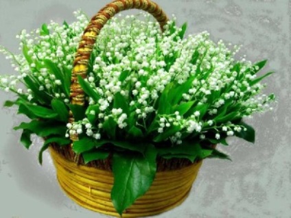 13 ani (aniversarea căsătoriei) 13 ani