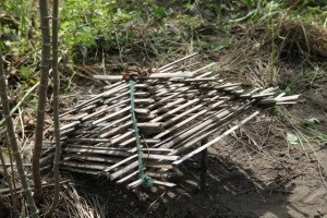 6 capcane simple pentru producția de alimente în pădure - pentru a supraviețui în situații extreme și sălbatice (capcane) 6 capcane simple pentru producția de alimente în pădure - pentru a supraviețui în situații extreme și sălbatice