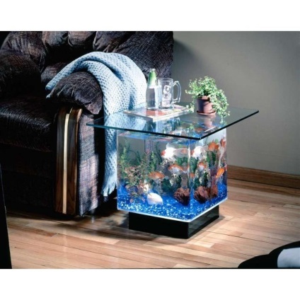 Aquarium - o bucată de natură (particule) Acvariul - o bucată de natură