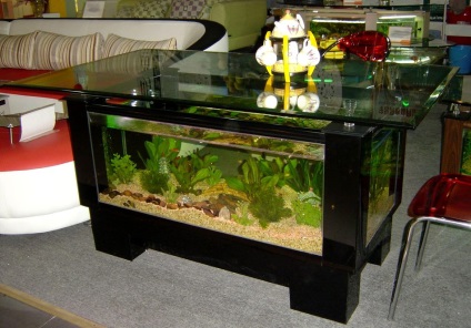 Acvariul - o bucată de natură (Aquarium) Acvariul - o bucată de natură