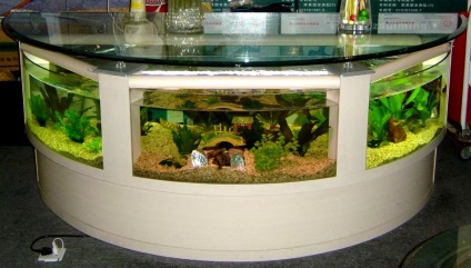 Acvariul - o bucată de natură (Aquarium) Acvariul - o bucată de natură