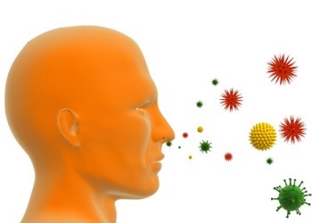 Alergia - răspunsuri la principalele întrebări, o revistă on-line - alergie (alergic) Alergia - răspunsuri la principalele întrebări, o revistă online - alergie