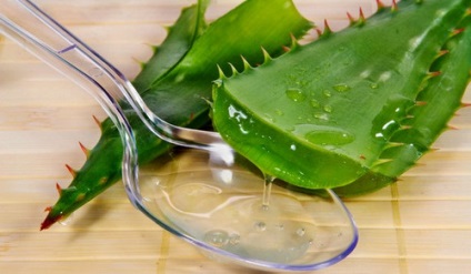 Aloe in tratamentul sinusul rețete de sucuri sinuzite aloe (suc) Aloe în sinusul sinuzita tratament aloe rețete de sucuri