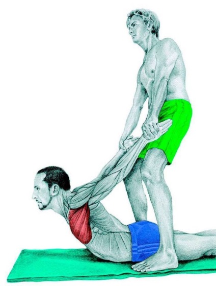 Anatomia de exerciții de stretching în imagini pentru întregul corp (obliques) Anatomia de exerciții de stretching în imagini pentru întregul corp
