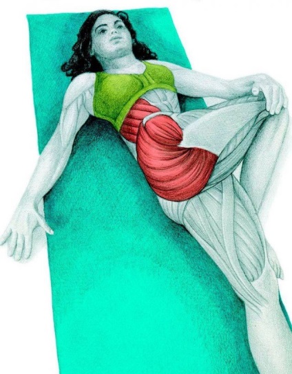 Anatomia de exerciții de stretching în imagini pentru întregul corp (obliques) Anatomia de exerciții de stretching în imagini pentru întregul corp