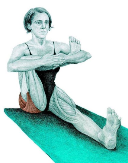 Anatomia de exerciții de stretching în imagini pentru întregul corp (obliques) Anatomia de exerciții de stretching în imagini pentru întregul corp
