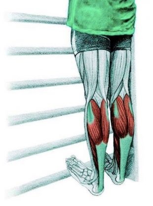 Anatomia de exerciții de stretching în imagini pentru întregul corp (obliques externe) Anatomia de exerciții de stretching în imagini pentru întregul corp