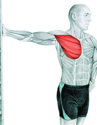 Anatomia exerciții de stretching în imagini pentru întregul corp (mușchii sternocleidomastoidian sternocleidomastoidian) Anatomia de exerciții de stretching în imagini pentru întregul corp