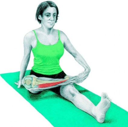 Anatomia de exerciții de stretching în imagini pentru întregul corp (mușchiul sternocleidomastoidian întindere) Anatomia de exerciții de stretching în imagini pentru întregul corp