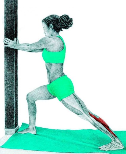 Anatomia de exerciții de stretching în imagini pentru întregul corp (obliques) Anatomia de exerciții de stretching în imagini pentru întregul corp