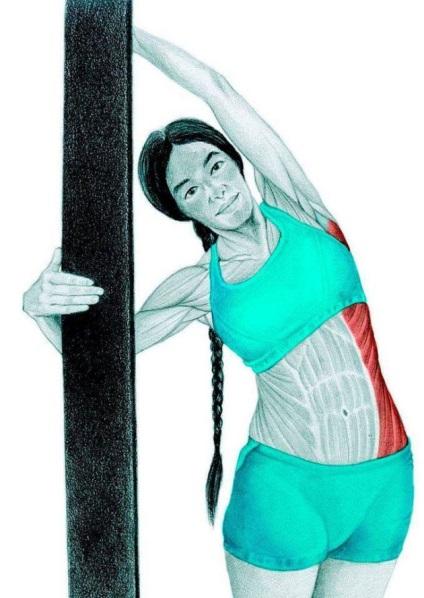 Anatomia exerciții de stretching în imagini pentru întregul corp (mușchii sternocleidomastoidian sternocleidomastoidian) Anatomia de exerciții de stretching în imagini pentru întregul corp