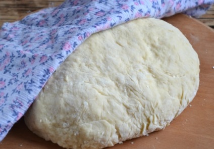 aluat nedospită pentru pizza rețete populare cu fotografii (aluatul) aluat nedospită pentru pizza rețete populare cu fotografii