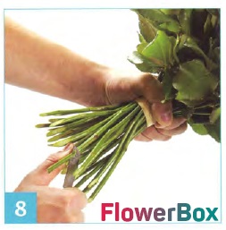 Blog de flori și flowerbox cadou de livrare - știri, articole utile și ateliere de lucru - cum ar fi (culori) floare de blog și cadou de livrare flowerbox - companie de știri, articole utile și ateliere de lucru - atât