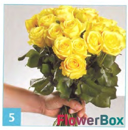 Blog de flori și cadou de livrare flowerbox - știri, articole utile și ateliere de lucru - ambele (cadourile) floare de blog și cadou de livrare flowerbox - companie de știri, articole utile și ateliere de lucru - atât