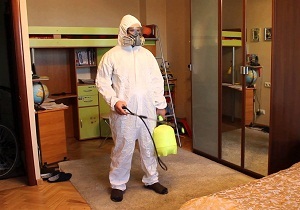 Puricii în apartament unde și cum să scape de sânge supt insecte (cum ar fi puricii retrag din apartament) Puricii în apartament unde și cum să scape de țânțari