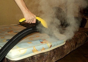 Puricii în apartament unde și cum să scape de sânge supt insecte (purici remediu pentru apartament de a cumpăra) Puricii în apartament unde și cum să scape de țânțari