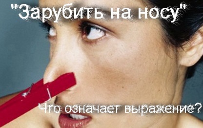 Ce înseamnă - să hack la moarte pe istoricul phraseologism nas, ceea ce înseamnă că (mijloc) Ce înseamnă - să hack la moarte pe istoricul phraseologism nas, ceea ce înseamnă