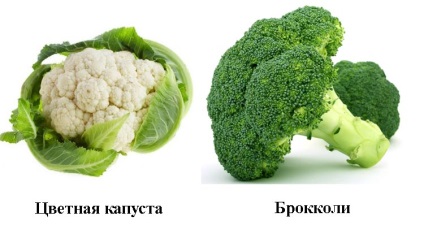 Conopidă și broccoli (varza) Conopidă și broccoli