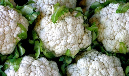 Conopidă și broccoli (culoare) Conopidă și broccoli