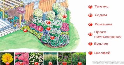 schema de aterizare flowerbeds (floarea arbor) Circuit flowerbeds aterizare