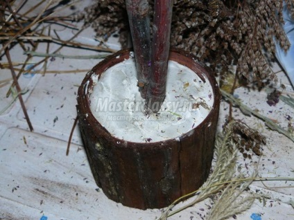 De flori uscate, copac decorative (copac) arbore ornamental de flori uscate
