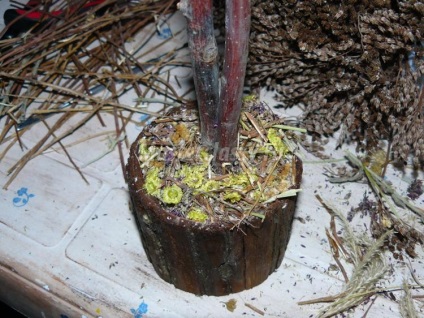 arbore decorativ de flori uscate (arbore decorativ din flori uscate) arbore ornamental de flori uscate