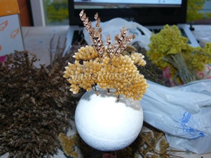 flori uscate, copac decorative (copac de flori uscate) arbore ornamental de flori uscate