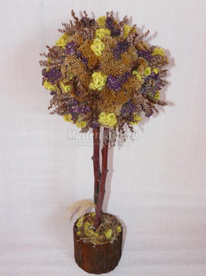 arbore ornamental de flori uscate (arbore ornamental de flori uscate Foto) arbore ornamental de flori uscate