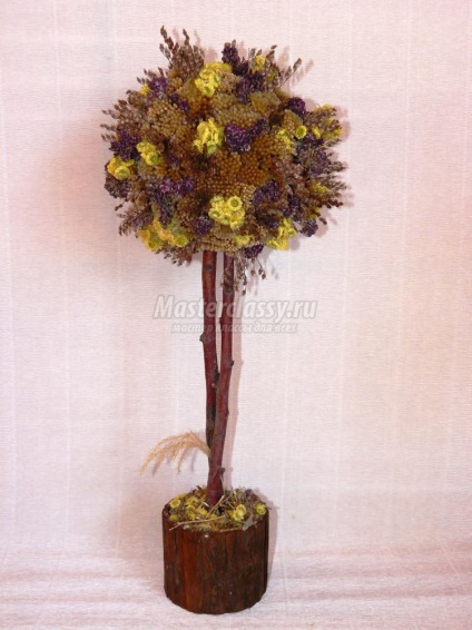 De flori uscate, copac decorative (copac) arbore ornamental de flori uscate
