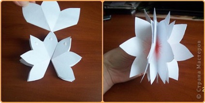 Copii! carte de volum cu flori () Copii! carte de volum cu flori