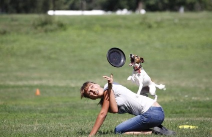 Dog-Frisbee - vederi populare și frumoase sportive canine (sport) Dog-Frisbee - vederi populare și frumoase sportive canine